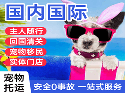 涟水空运代理国际宠物托运 【国